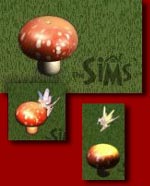 fairy mushroom