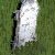 gothic grave stone